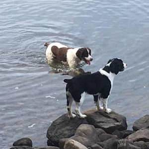 Meet your Posher, Cynthia